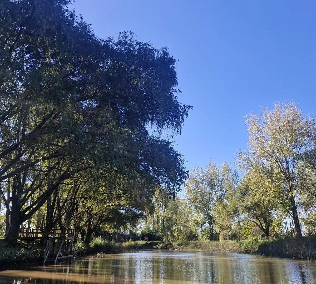 VENTA LOTE CON QUINCHO ISLA EL DURAZNO 2
