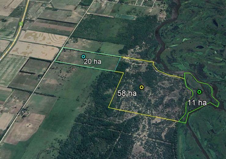 Campo Mixto Zona Romang - Santa Fe - 89 Has Sobre El Rio 4