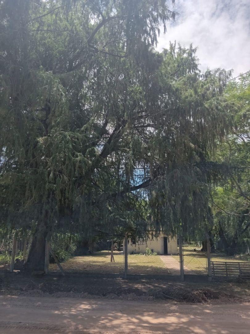 Casa/quinta a Refaccionar - V, California - San Jose del Rinco 1