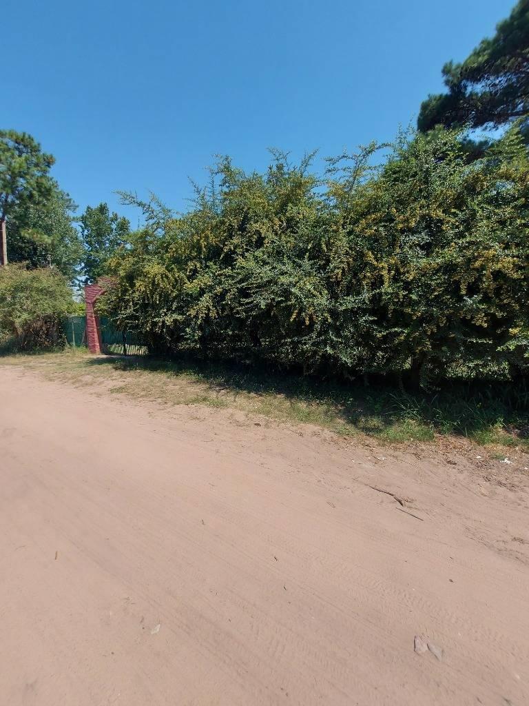 Casa Quinta en Venta - Villa California - San Jose del Rincon, S 3