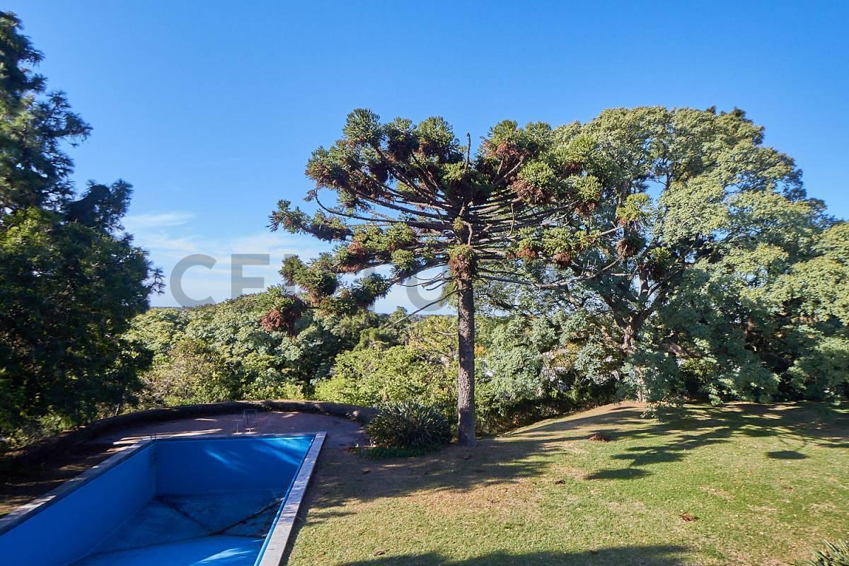 Venta Lote con Vista Al Rio en Barrancas de Victoria 2