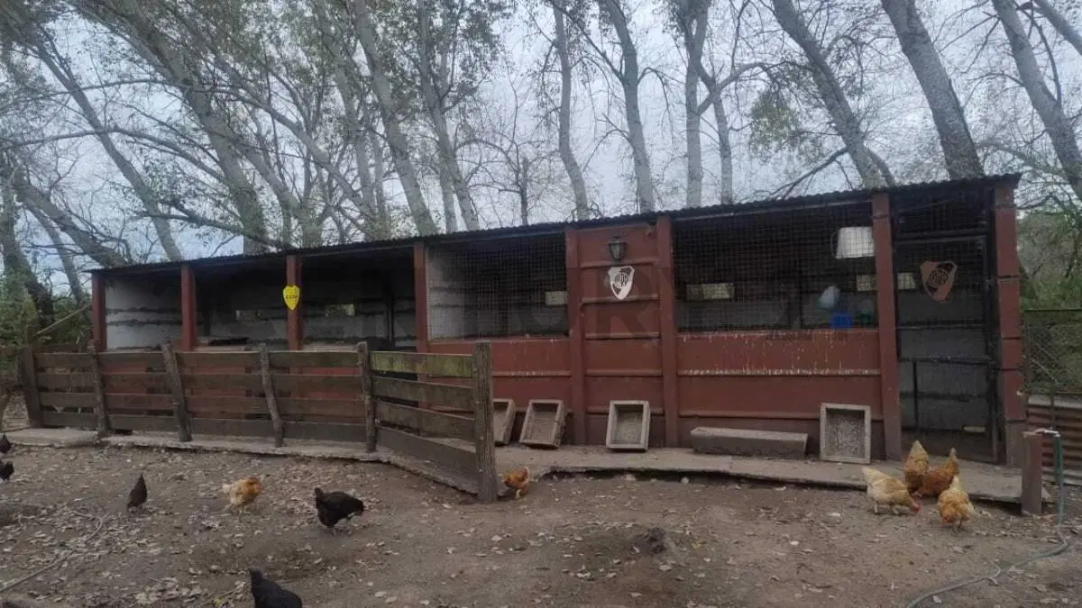 VENTA COMPLEJO DE CABAÑAS RURALES EN PARDO ( CABAÑAS/QUINTA/ CONJUNTO)- LAS FLORES 5
