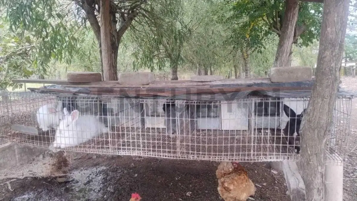 VENTA COMPLEJO DE CABAÑAS RURALES EN PARDO ( CABAÑAS/QUINTA/ CONJUNTO)- LAS FLORES 3
