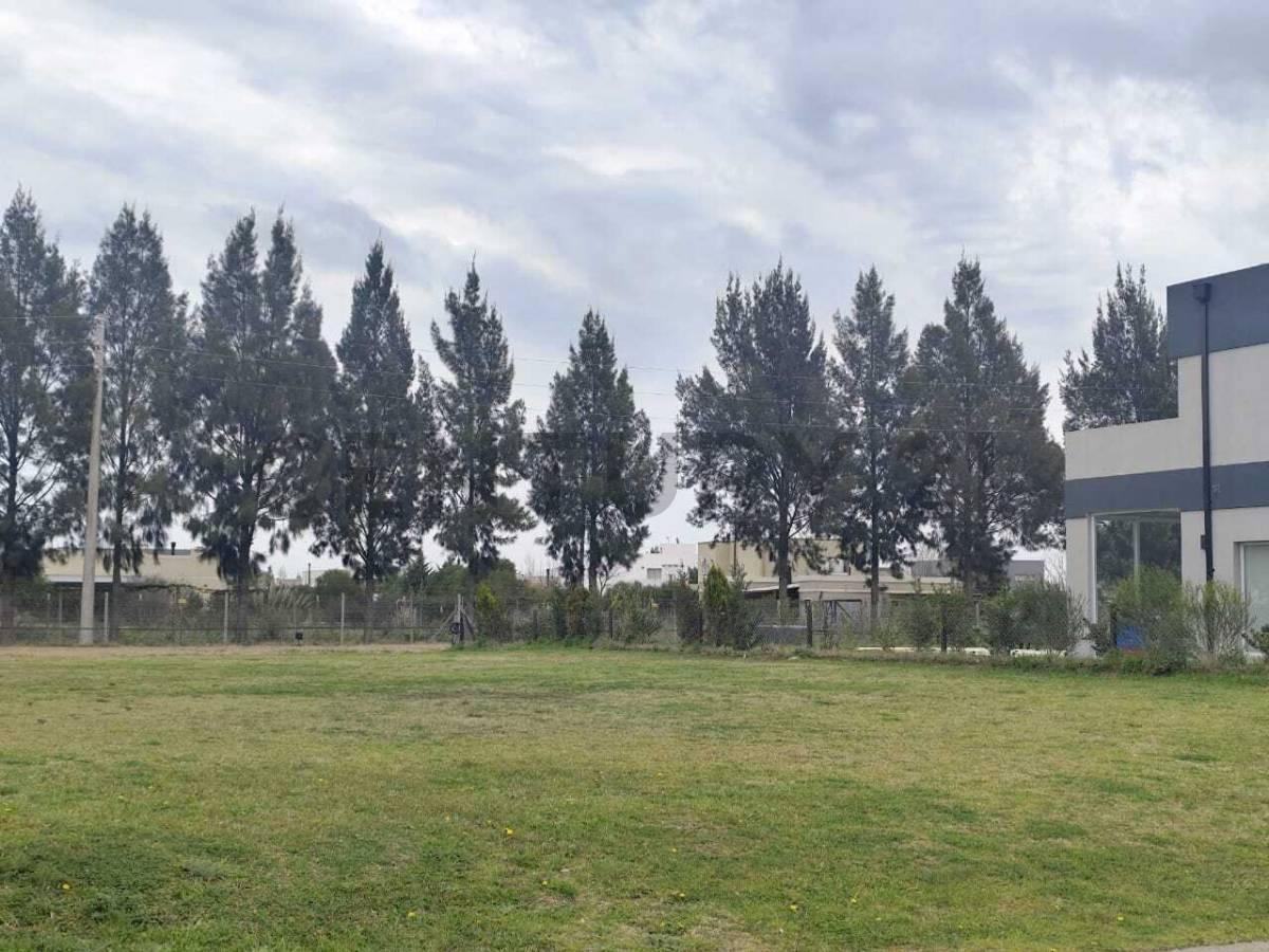 Foto de VENTA DE LOTE DE 800 M2 PROXIMO A LAGUNA CLUB DE CAMPO CRUZ DE SUR, imagen 4