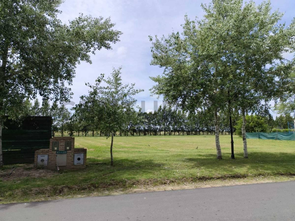 Foto de VENTA LOTE 1000 m2 en HARAS DEL SUR 3, imagen 2