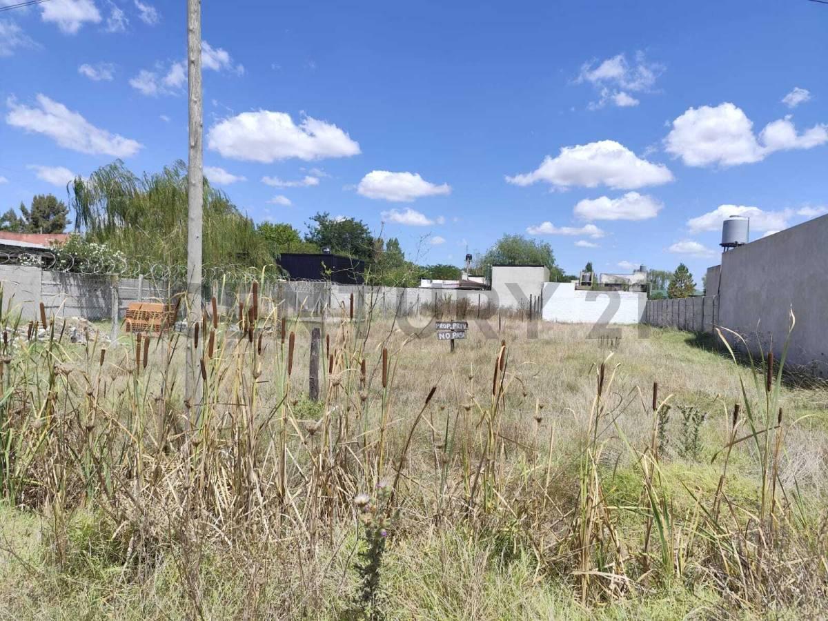 Foto de VENTA LOTE SAN VICENTE EXCELENTE UBICACION, imagen 3