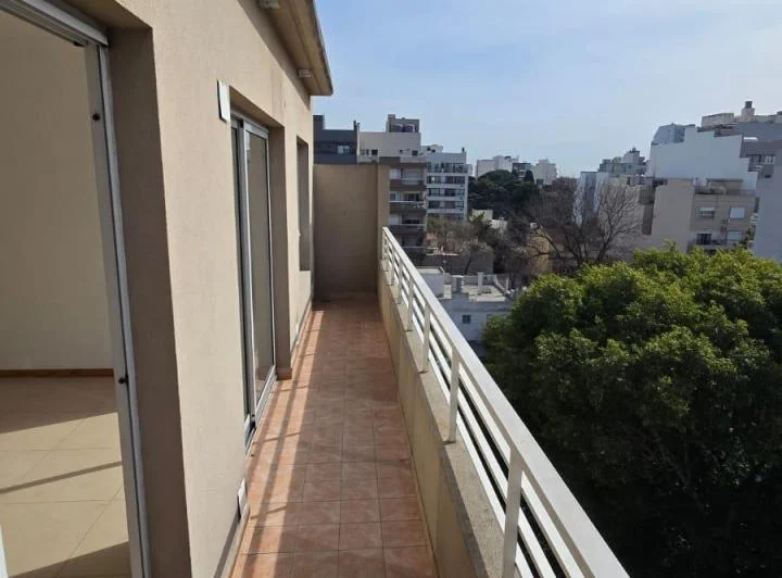 Departamento dos Ambientes en Alquiler 3