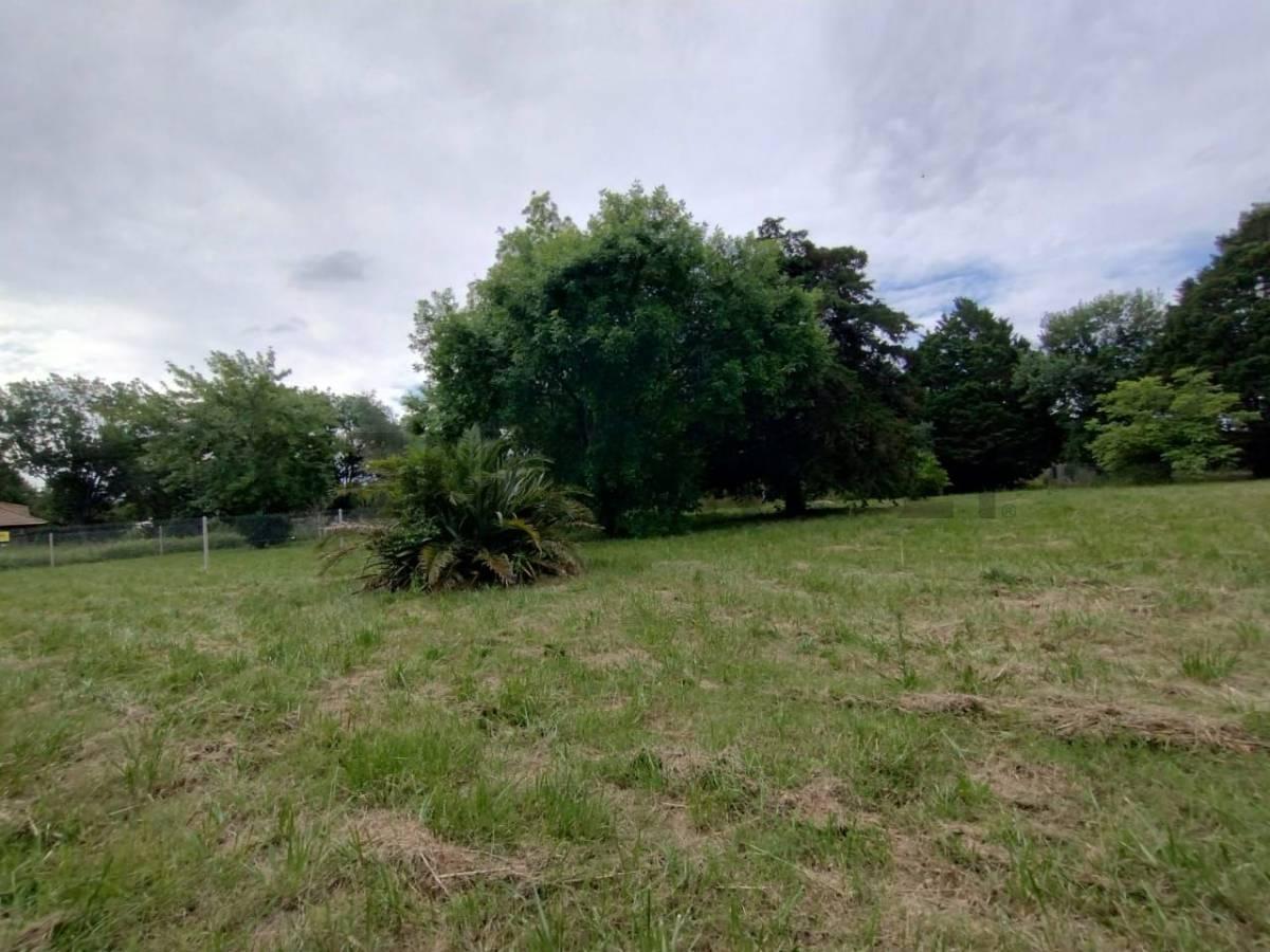 Lote en Venta 4