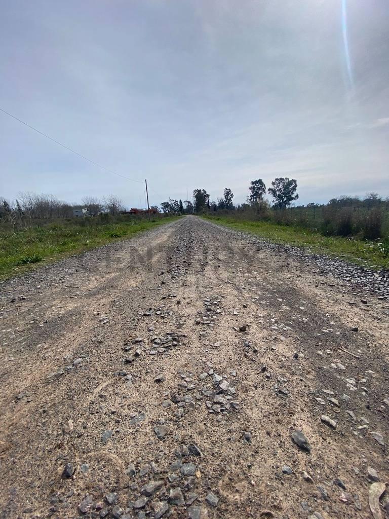 Foto de Calle 633 entre 10 y 13, se venden 4,5 hectáreas en La Plata, imagen 5