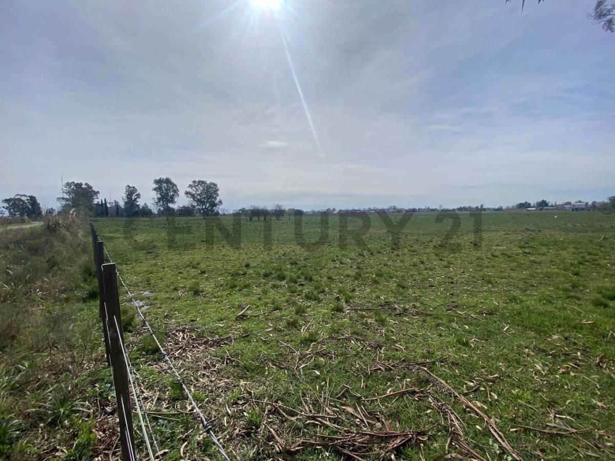 Foto de Calle 633 entre 10 y 13, se venden 4,5 hectáreas en La Plata, imagen 4