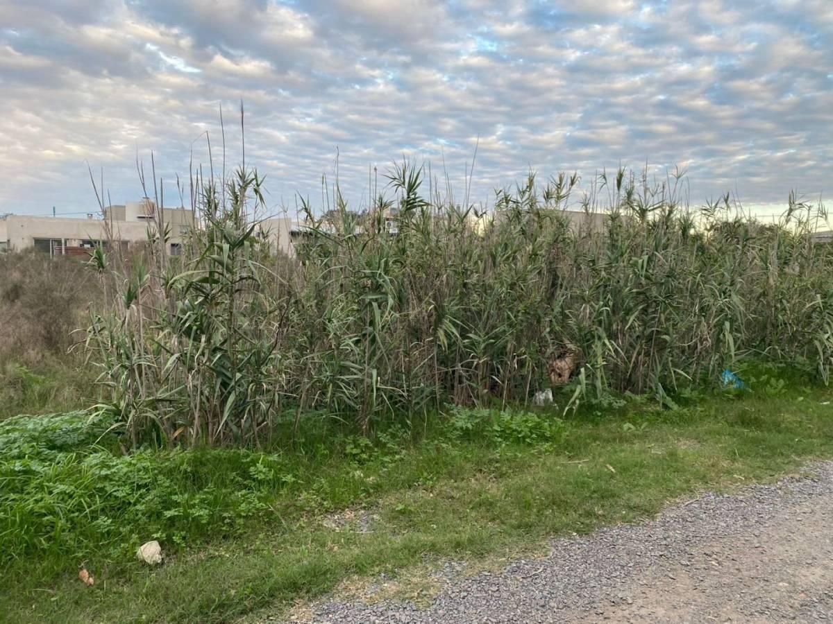 Foto de Lote en venta, imagen 1