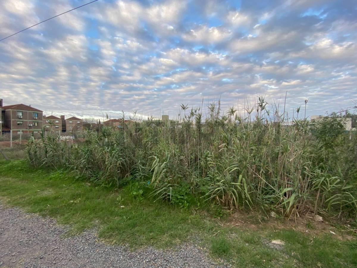 Foto de Lote en venta, imagen 4