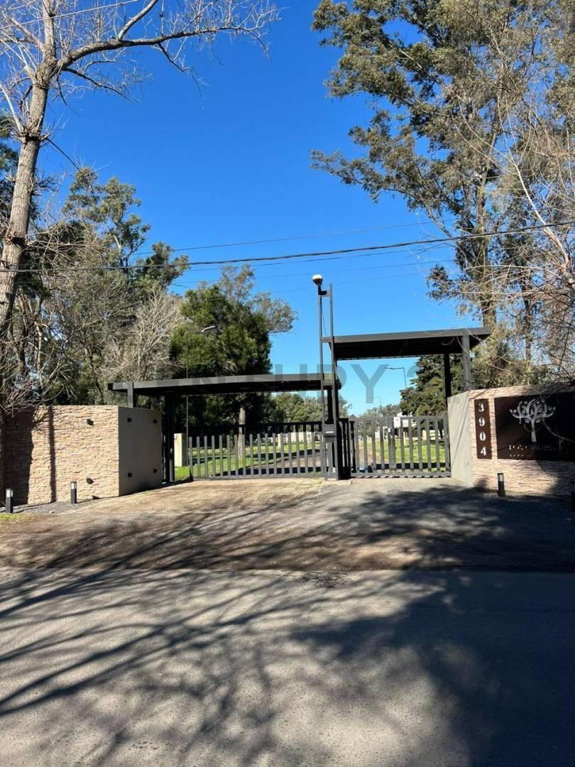 Foto de Lote en venta, imagen 4