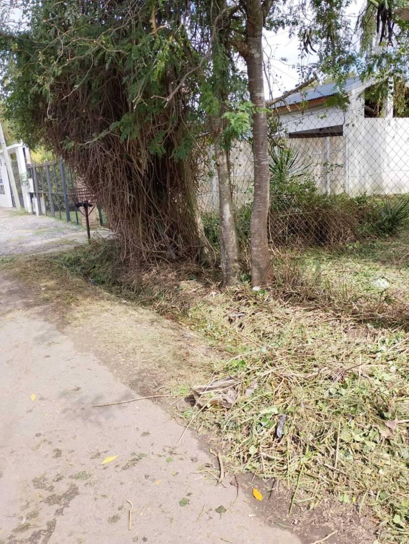 Foto de Terreno en venta, imagen 3