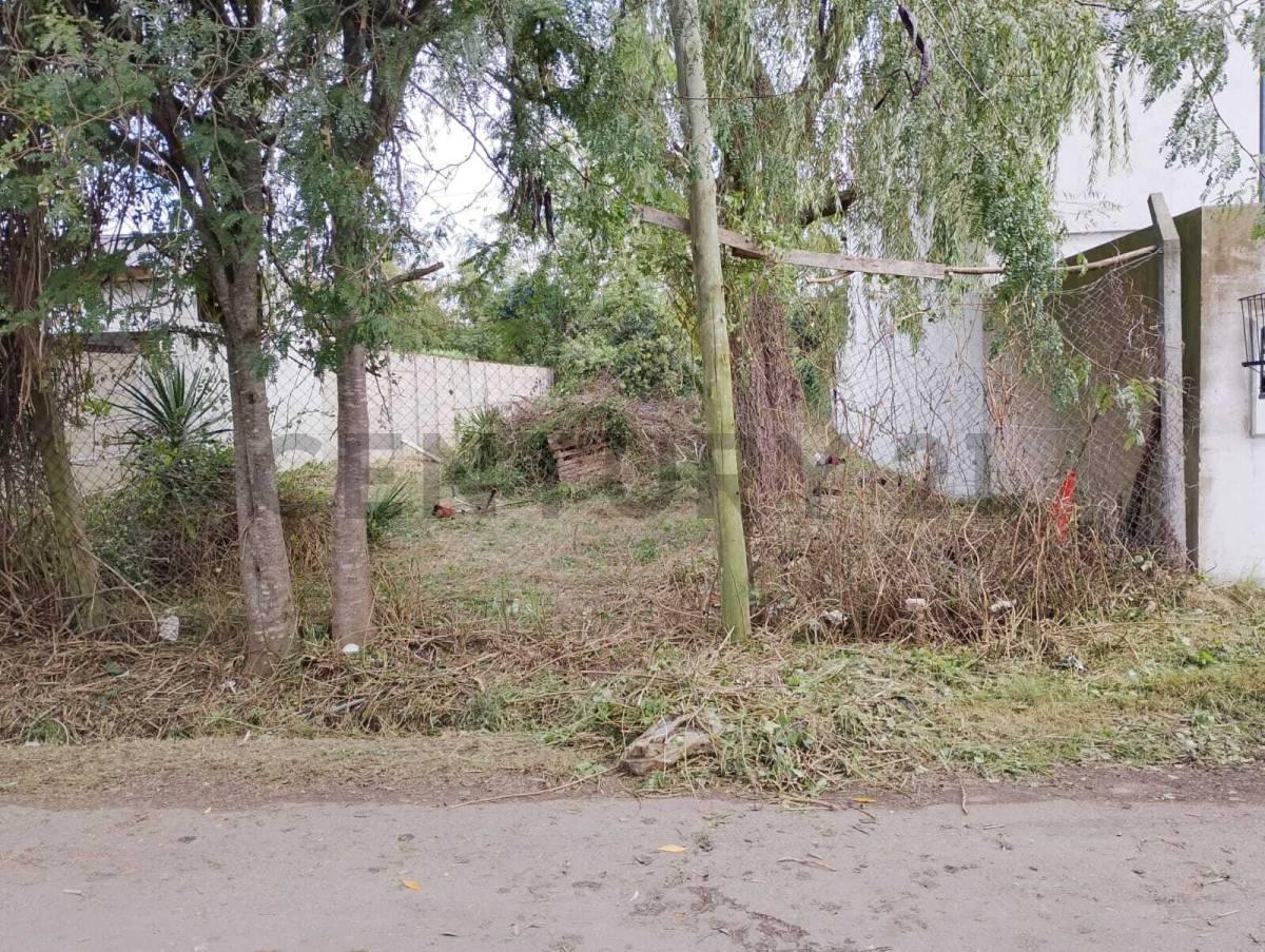 Foto de Terreno en venta, imagen 1