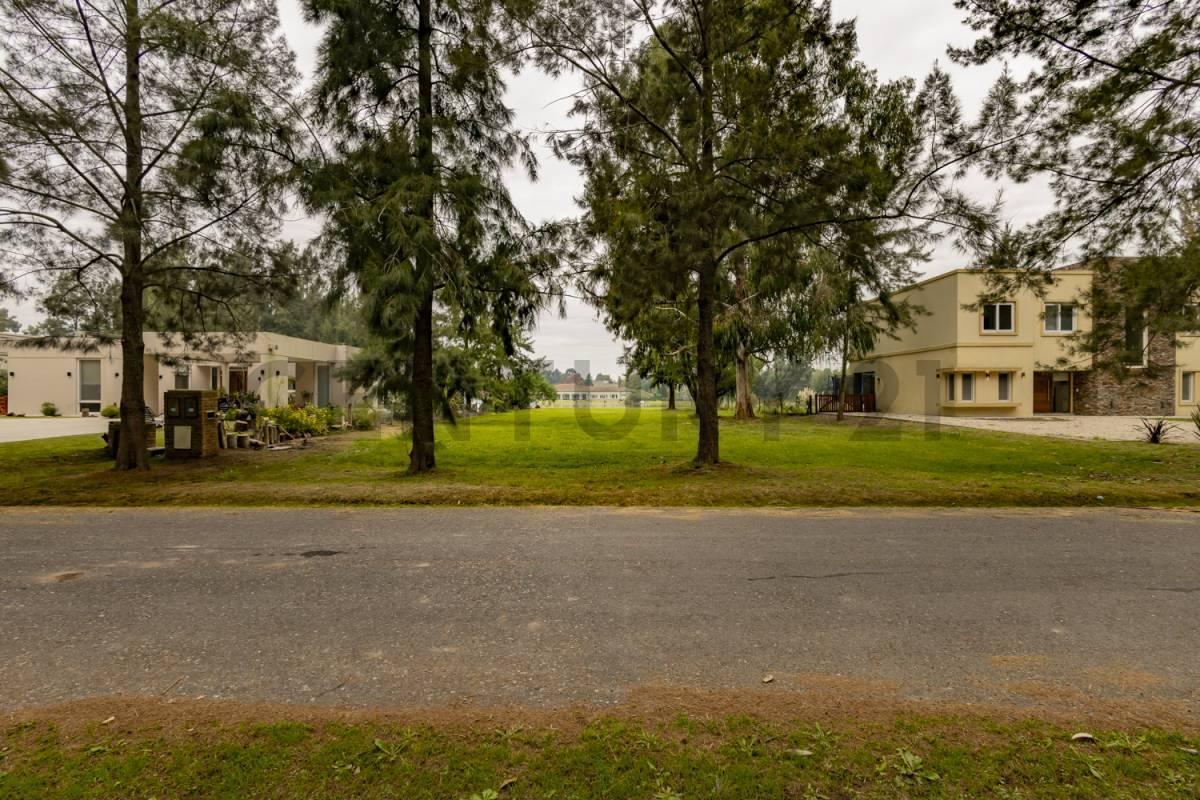Foto de Lote en venta, imagen 2