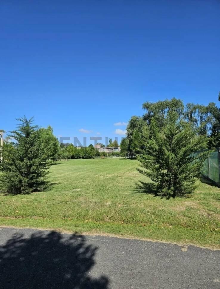 Foto de Lote en venta en Miralagos I – Lote N° 254, imagen 3