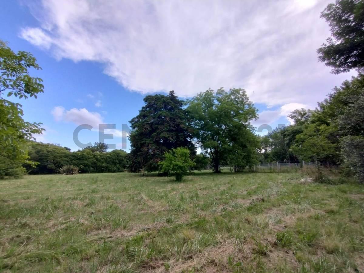 Foto de Lote en venta, imagen 2