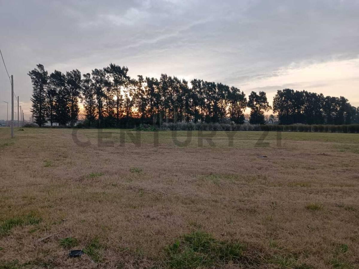 Foto de Lote en venta en Barrio La Cañada I (467y160), imagen 3