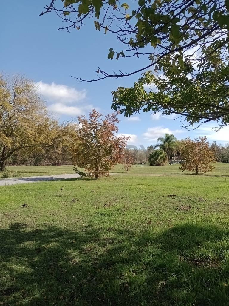 Foto de LOTES EN VILLA ELISA, imagen 3