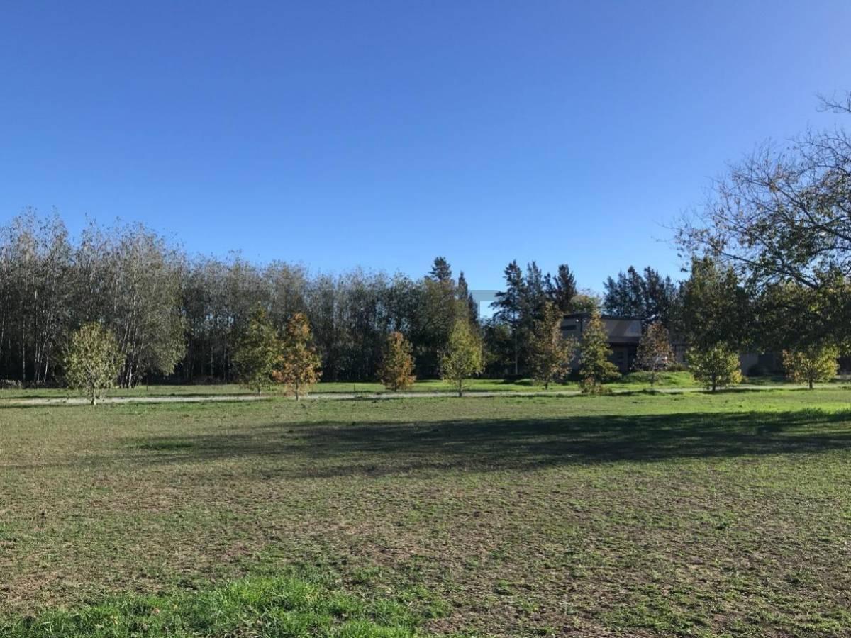 Foto de LOTES EN VILLA ELISA, imagen 4