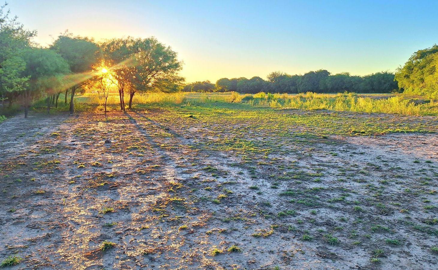 Foto de Palo Parado Campo de 21 has, imagen 5