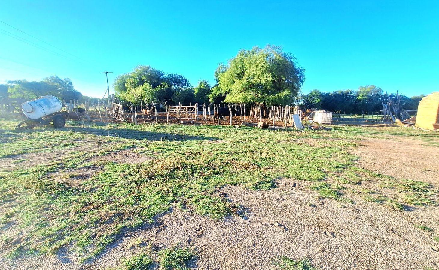 Foto de Palo Parado Campo de 21 has, imagen 4