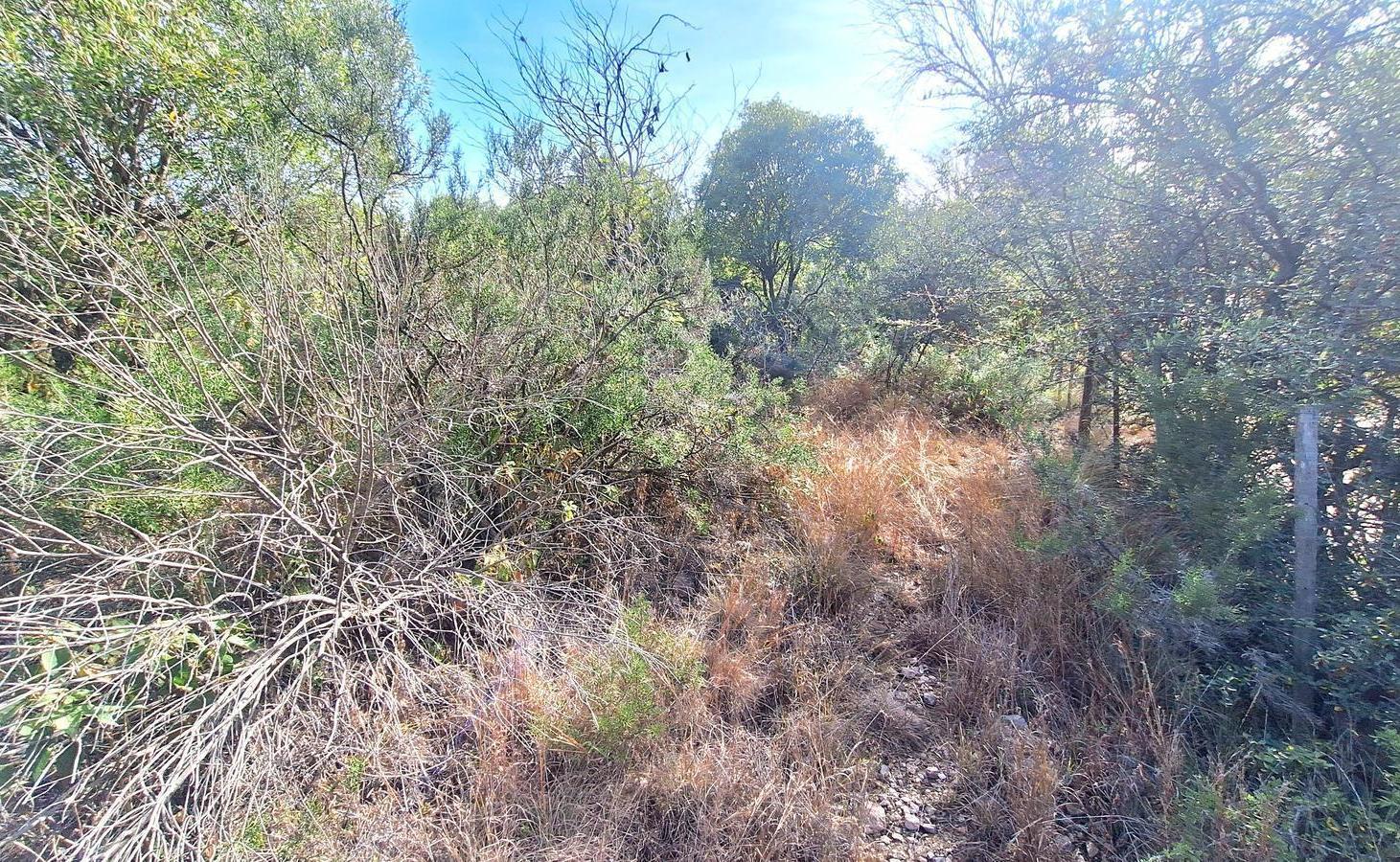 Foto de Villa Giardino, Lote en Barrio La Granja con Vista Unica, imagen 4