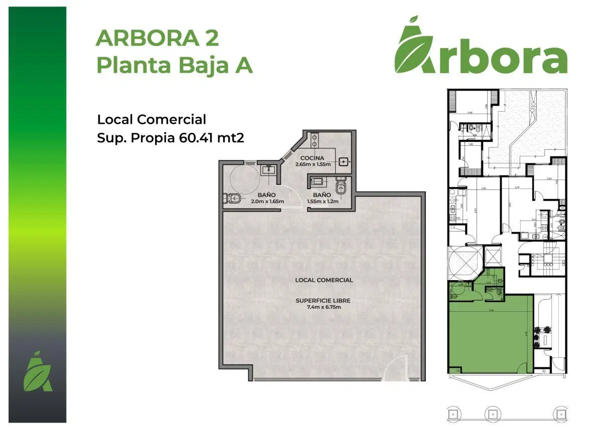 Plano 1