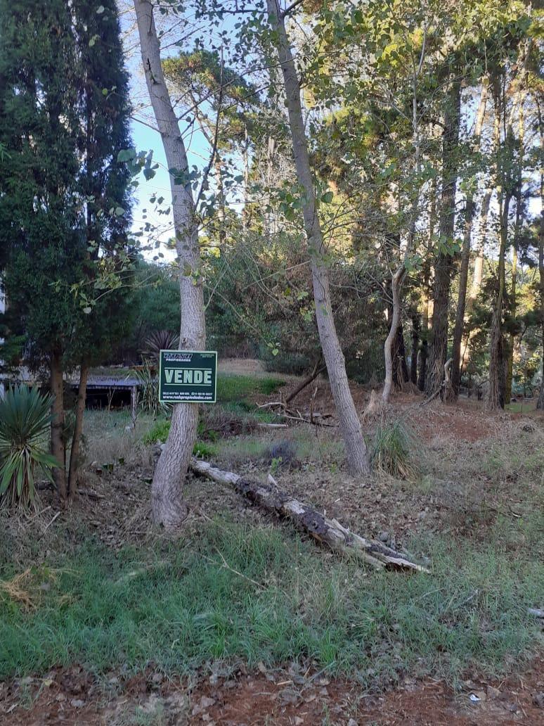 Lote Zona Residencial, 325 m² 5