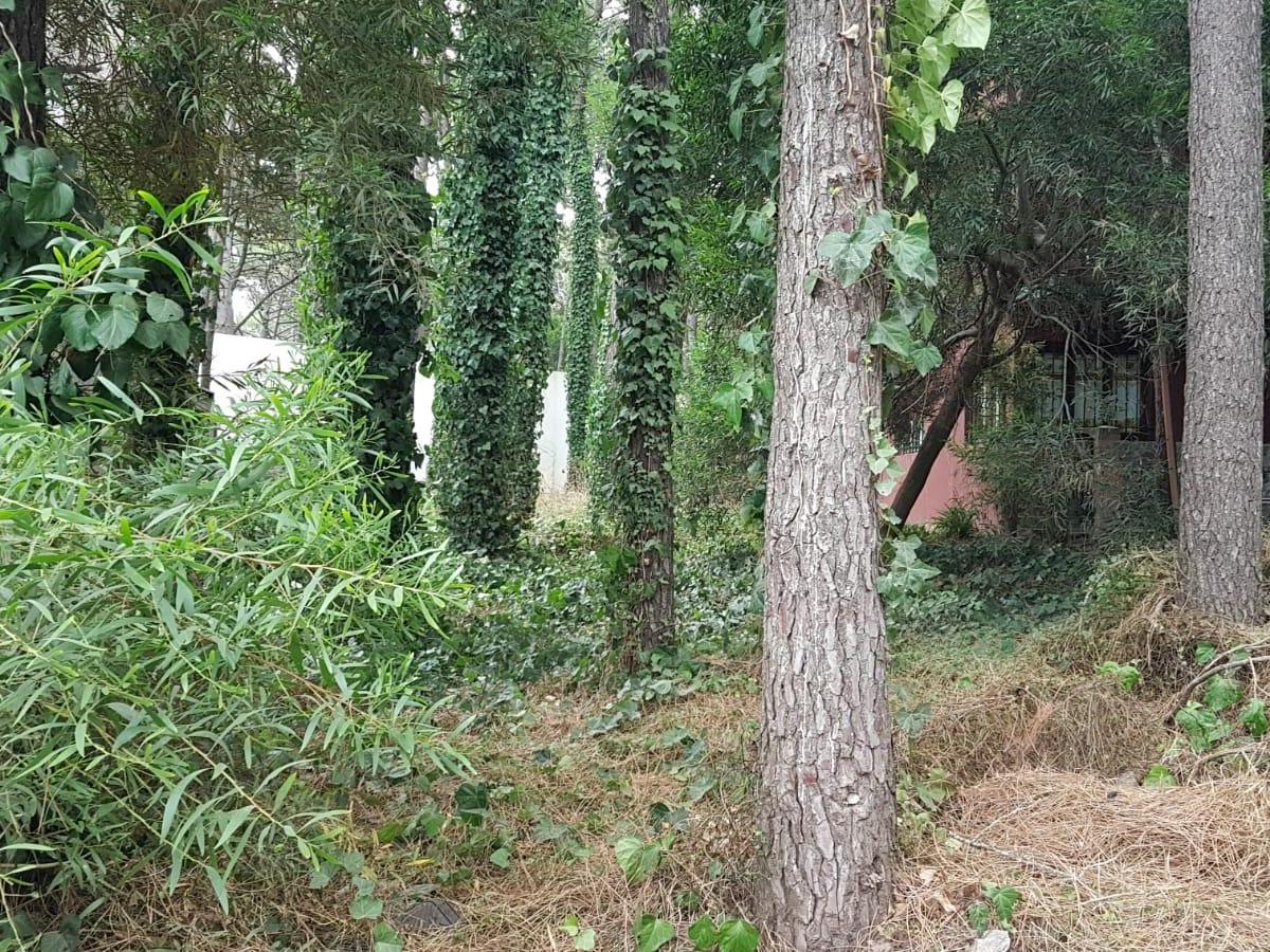 Lote Comercial - Oportunidad - en Principal Av de Mar Azul Ante Esquina 3