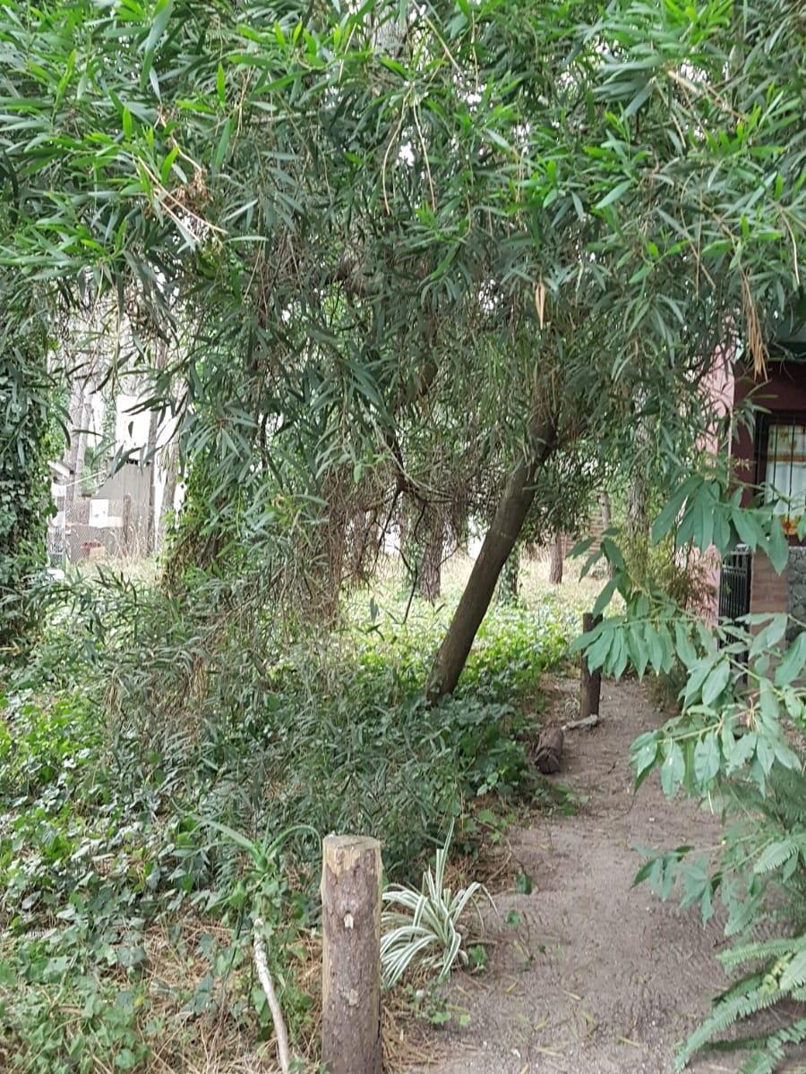Lote Comercial - Oportunidad - en Principal Av de Mar Azul Ante Esquina 5