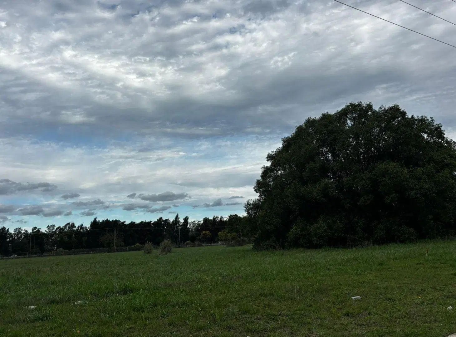 Terreno en Los Cardales Parque industrial Ruta 6 5