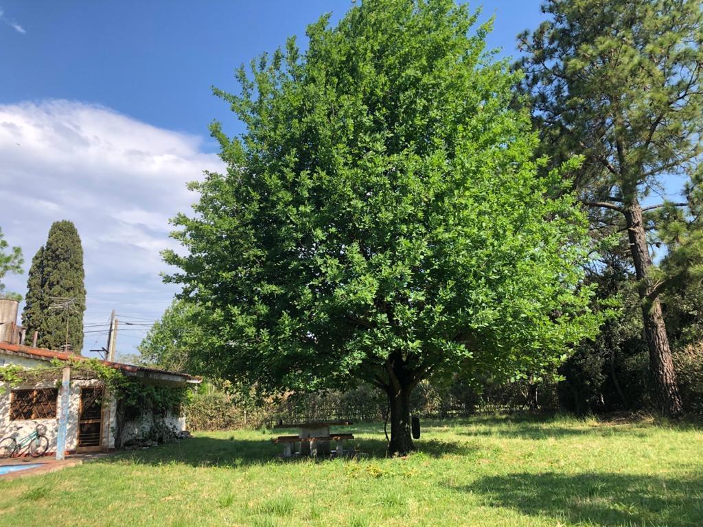 Foto de Venta Casa en Pilar con Pileta sobre lote de 2000 mts, imagen 3
