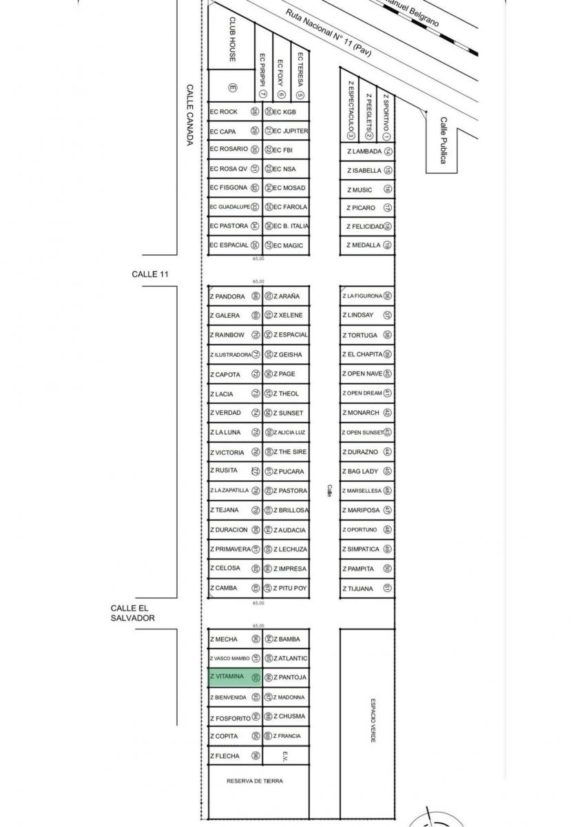 Plano 4