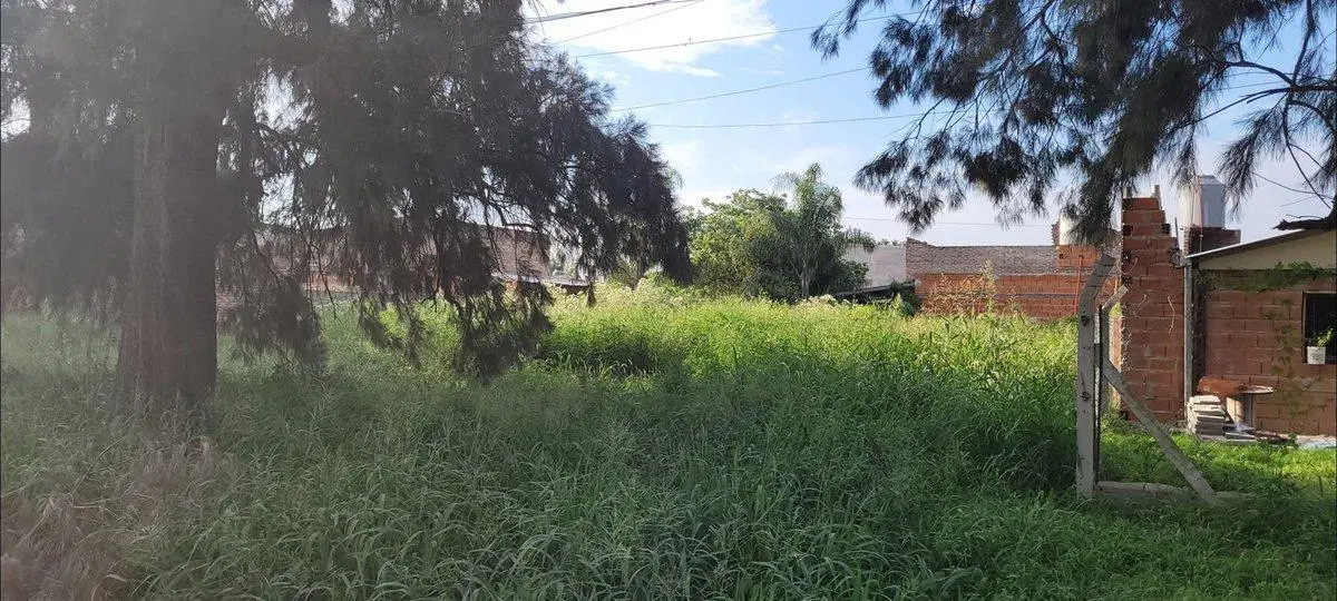 Lote en Adelina Centro, Santo Tomé 4