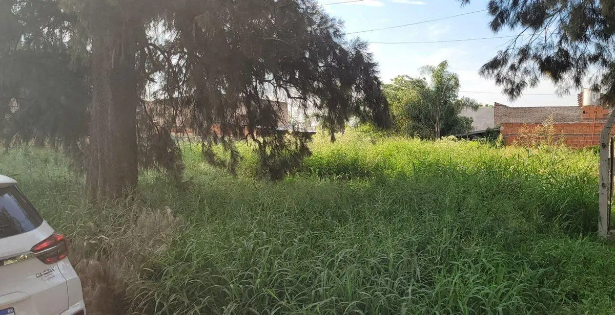 Lote en Adelina Centro, Santo Tomé 3