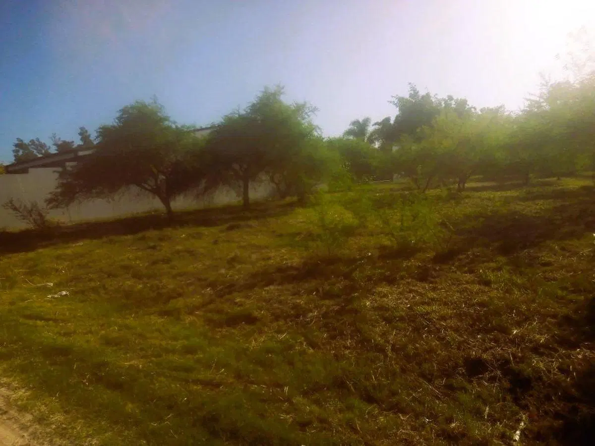 Terreno en venta - Villa California, Rincon 2