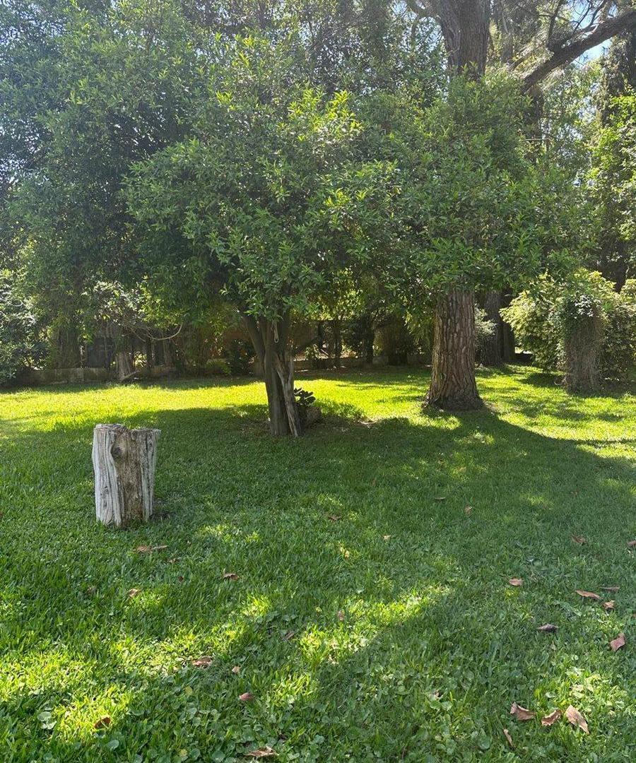 Foto de VENTA CASA EN B° JORGE NEWBERY - APTA CRÉDITO, imagen 4