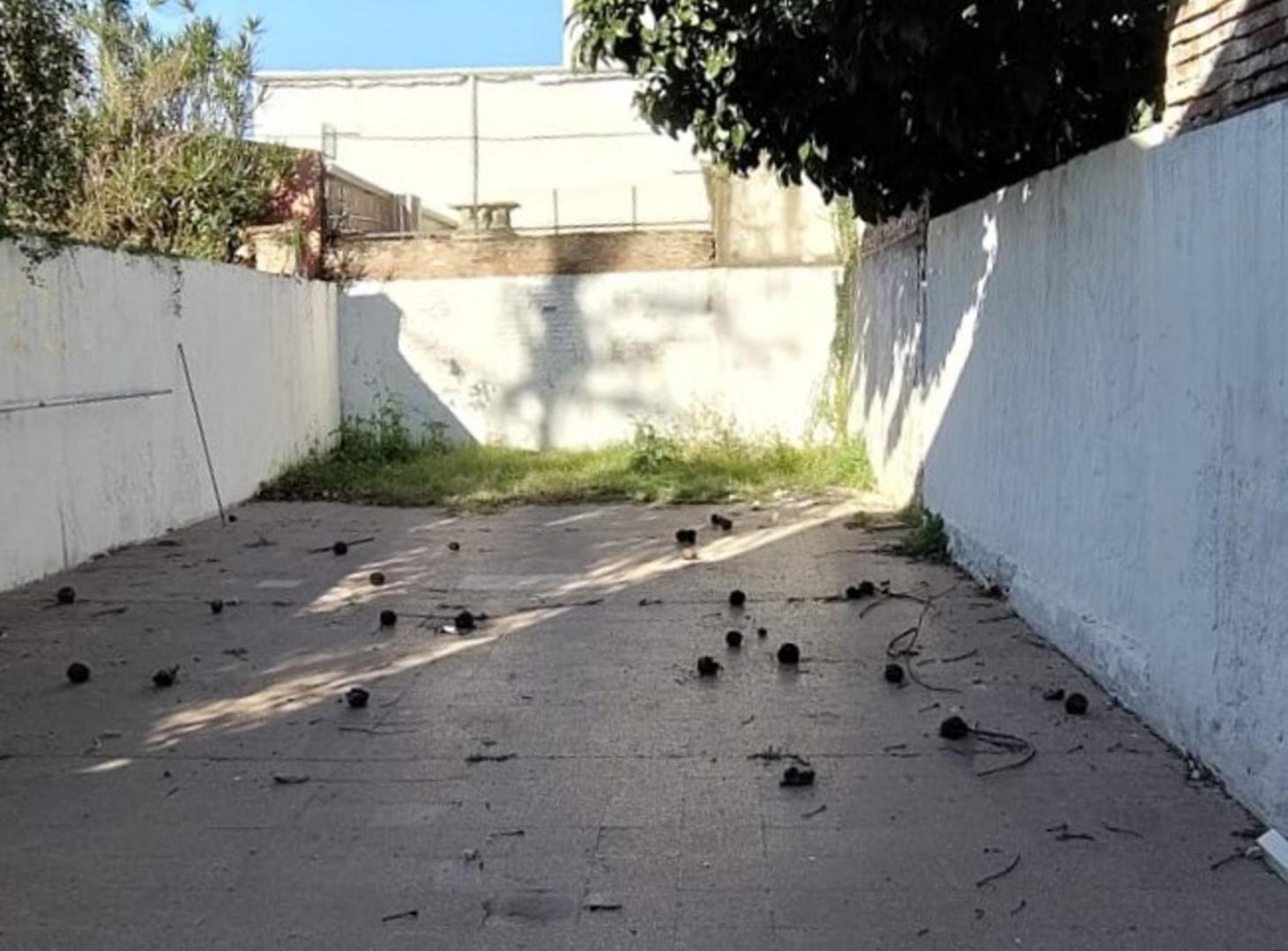 Foto de VENTA LOCAL COMERCIAL CENTRICO, AMPLIO CON PATIO, imagen 5