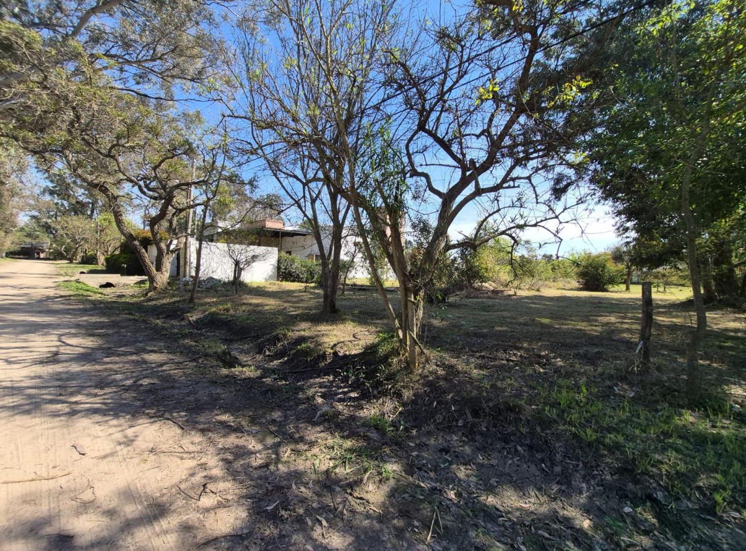 Foto de Se vende terreno en Villa California 1378m2., imagen 2