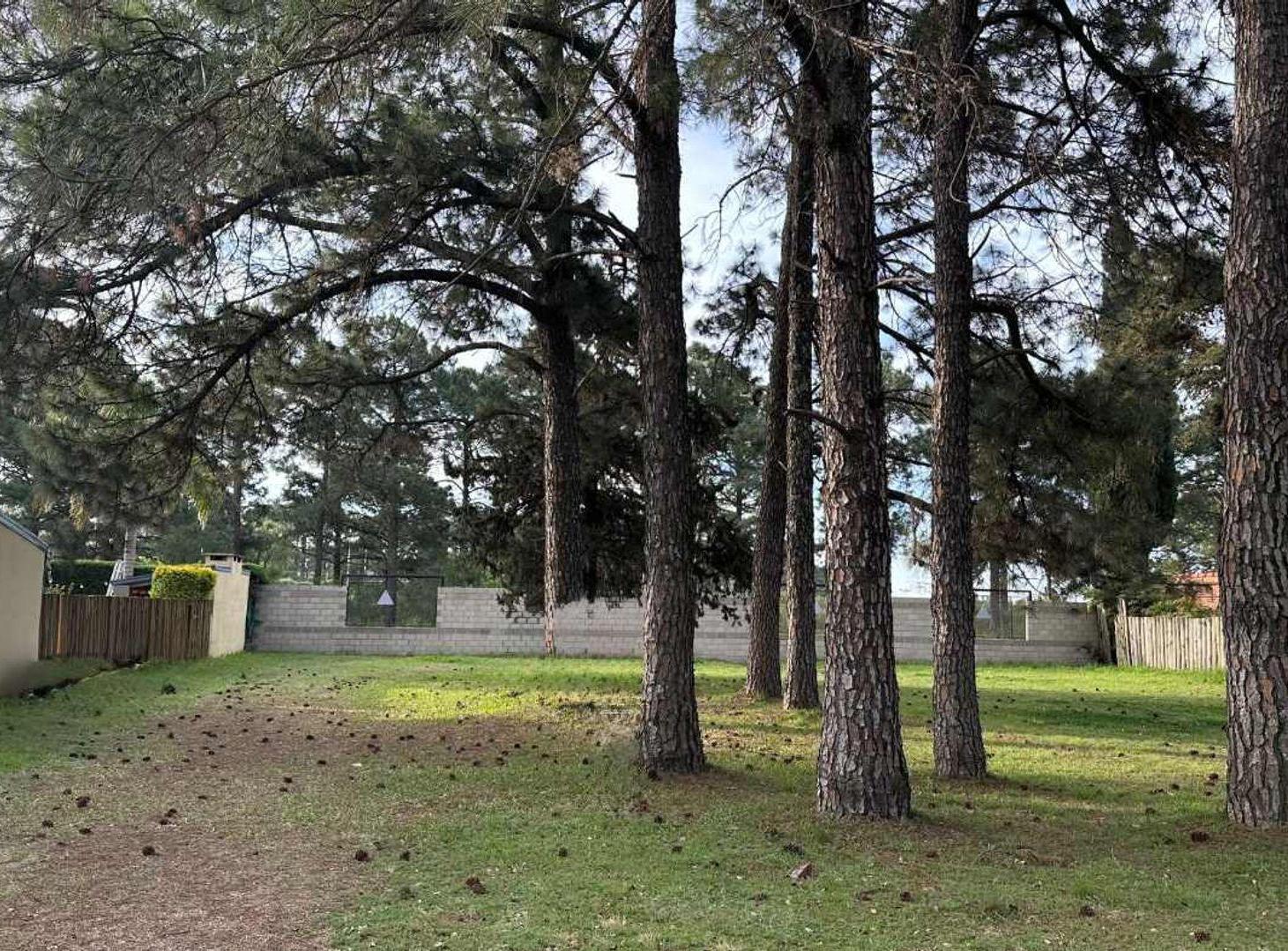 Foto de VENTA LOTE EN COUNTRY LA TATENGUITA, imagen 5