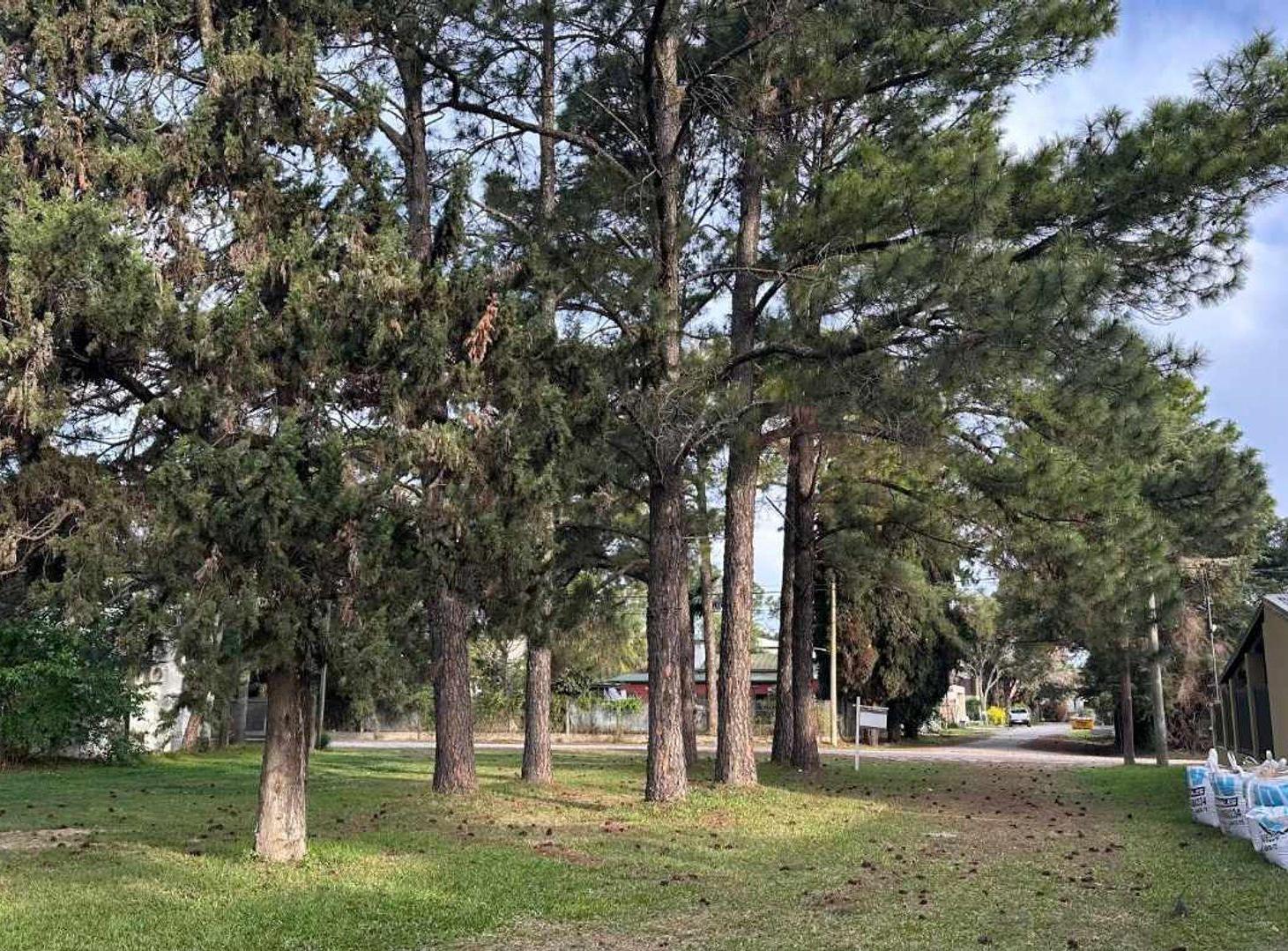 Foto de VENTA LOTE EN COUNTRY LA TATENGUITA, imagen 4