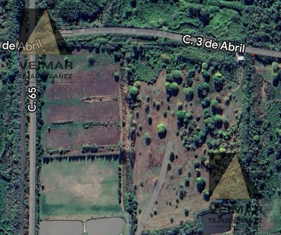 Foto de Terreno en Berisso, imagen 3