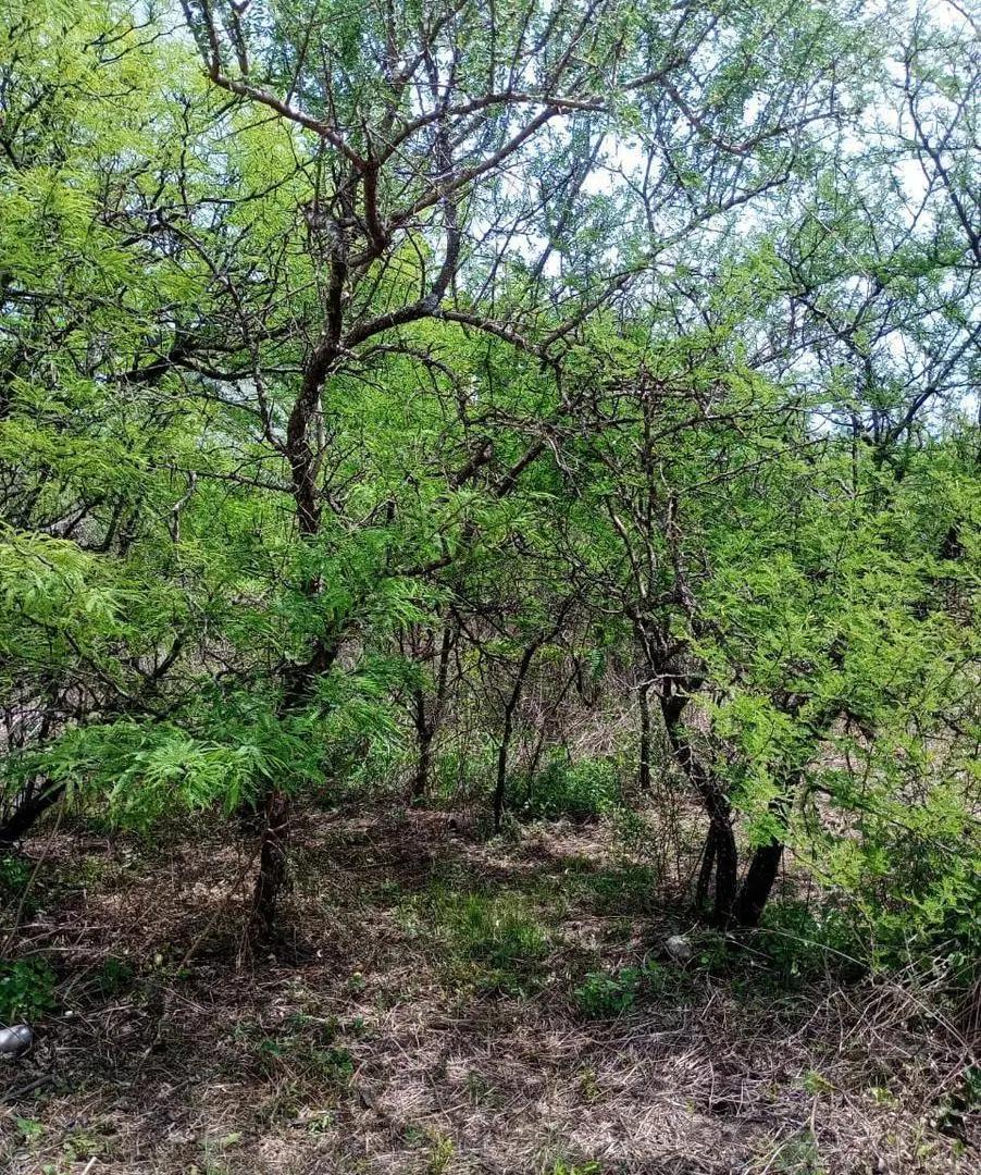 Terreno en oportunidad en Anisacate 2