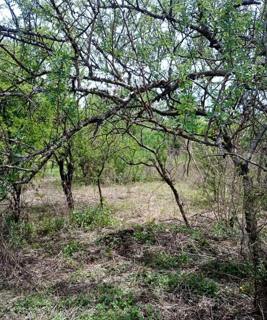 Terreno en oportunidad en Anisacate 3
