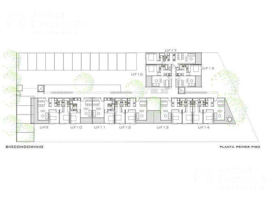Plano 7