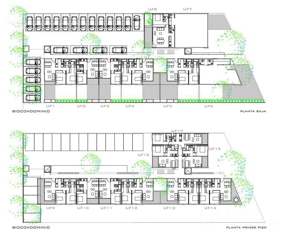 Plano 6