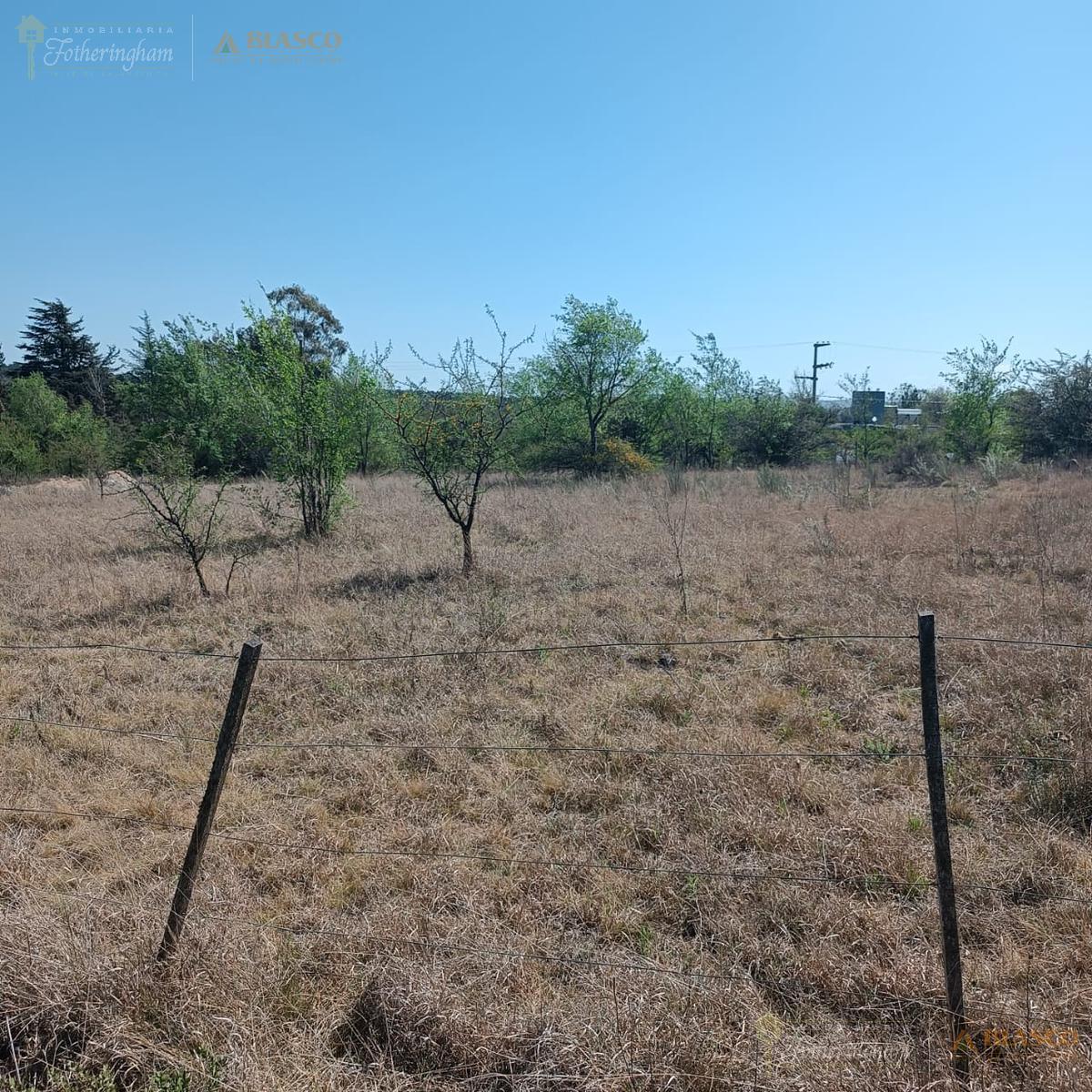 Lote en Venta | Los Espinillos | Potrero de Garay 1