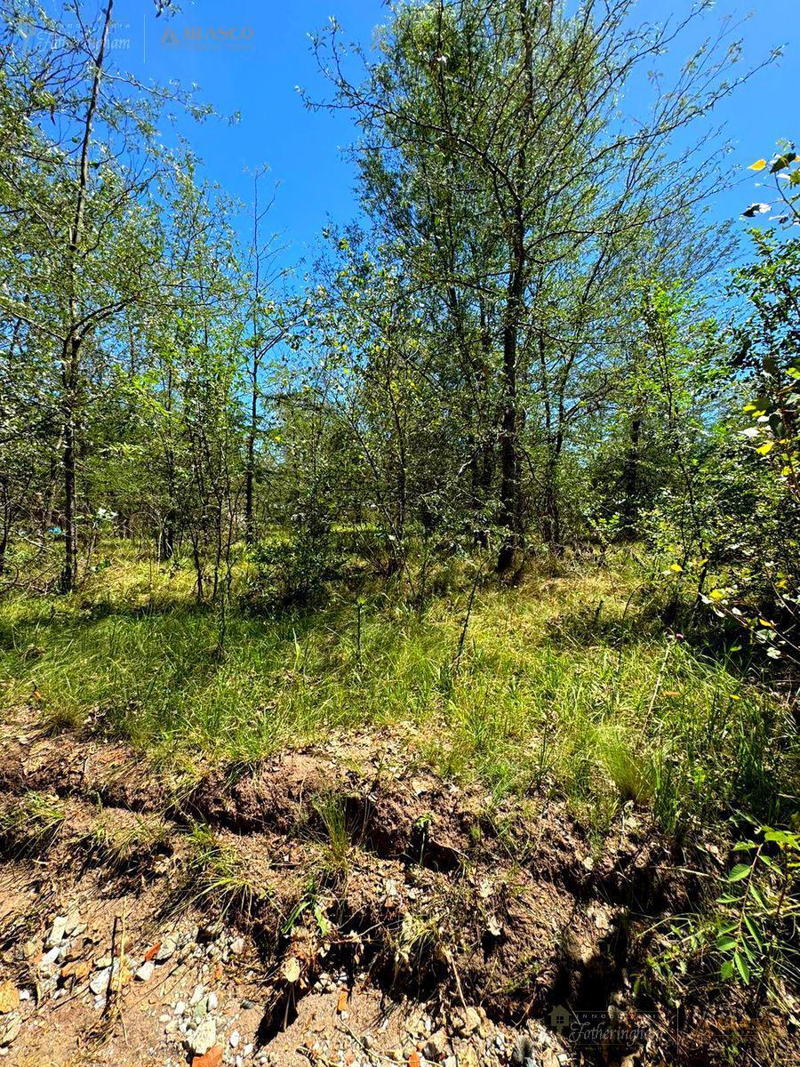 Lotes en Venta Villa Ciudad Parque 2